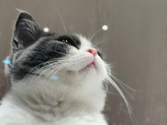 -乐宠宠物店(世纪金源店)