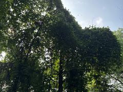 -杭州半山国家森林公园