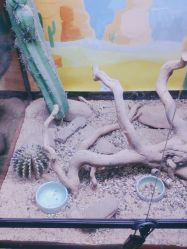 -酷嗒动物文化乐园(cutezoo西溪乐天城店)