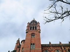 -上海佘山国家森林公园西佘山园