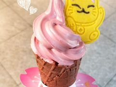 -麦当劳(SM城市广场店)