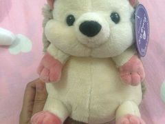 -PAWTOY爪e玩偶店(天兴罗斯福店)