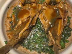 镇江秧草烧豚鱼-永安鱼庄·镇江菜(东吴路店)