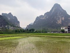 -明仕田园