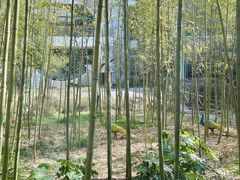 -苏州环秀晓筑养生度假村