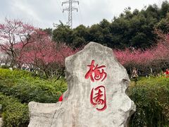 -重庆彩云湖湿地公园
