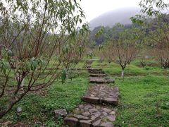 -广州市石门国家森林公园