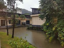 -爱帝宫月子中心(罗湖别墅院)