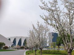 -东方体育中心(地铁站)