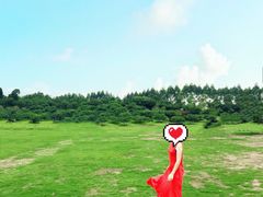 -秀丽东方