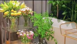 点击看大图 -花隐·美芙炫海菲秀皮肤管理中心