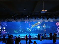 -烟台海昌鲸鲨海洋公园