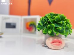 -MIVI野生眉纹绣纹眉