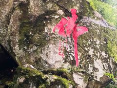 -终南山南五台景区