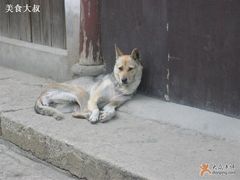 -马寅初故居