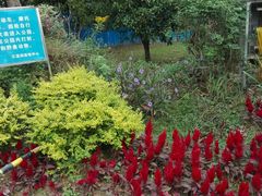 -艾溪湖湿地公园