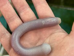 -金生美食(贵州路店)