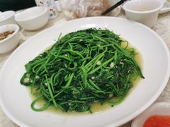 蒜蓉炒番薯叶-巫记鸡饭店