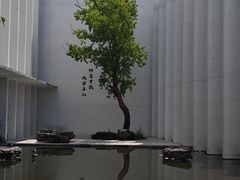 -中国宣纸文化园