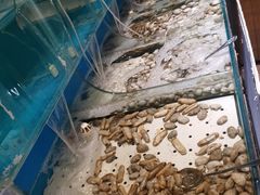 -瑞诗酒店西餐·咖啡厅