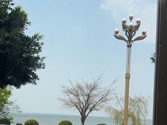 -野菌皇海景野生菌火锅(滨海大道店)