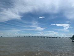 -宝安西湾红树林湿地公园