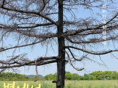 -苏州太湖西山岛开心农场