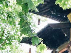 -兰边碗(鼓楼店)