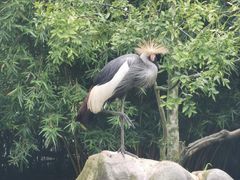 -黔灵山公园