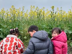 -中国天府农业博览园