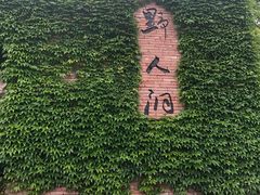 -蛇蟠岛