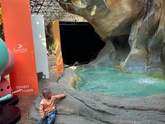 -杭州开元森泊度假乐园