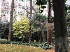 -巴金故居