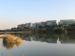 -华侨城湿地公园