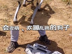 -西青郊野公园