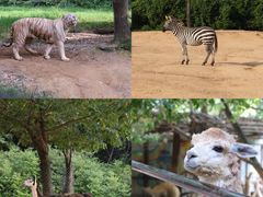 -杭州野生动物世界