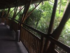 -海口观澜湖火山温泉谷