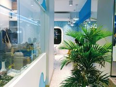 -吴山山·椰子酸奶(天河南店)
