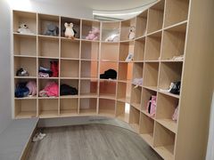 -红舞鞋舞蹈教育(近江校区)