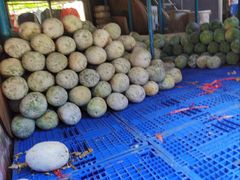 -红旗山庄(圭峰山店)