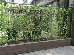 -扬州东关街文昌阁桔子水晶酒店