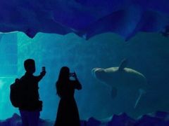 -威海华夏城景区