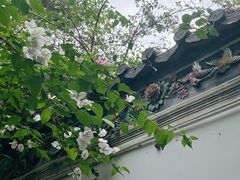 -深圳国际园林花卉博览园