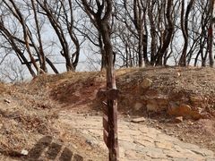 -北京西山国家森林公园