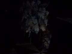 -黑桃K生日订制KTV