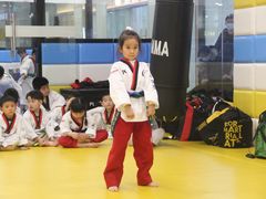 -浛道跆拳道·拳击·体适能