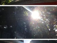 -北京国子监胡同