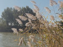 -马家湾湿地公园