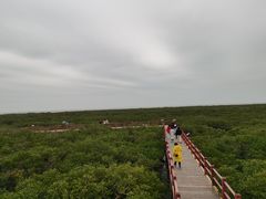 -北海金海湾红树林生态旅游区