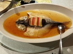 -金美华轩(东方路齐鲁店)